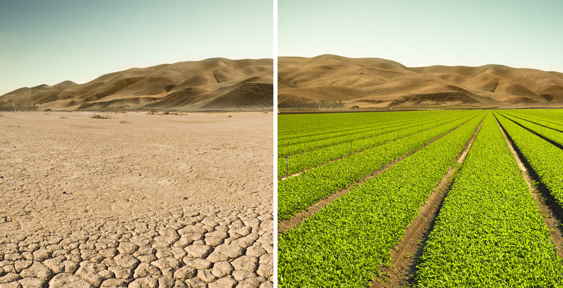 Image of Desert Next to to fertile green land